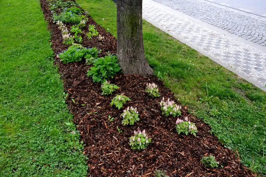 How Mulching Fits Into Your Landscape Maintenance Routine Jacksonville, FL How Mulching Fits Into Your Landscape Maintenance Routine Jacksonville, FL