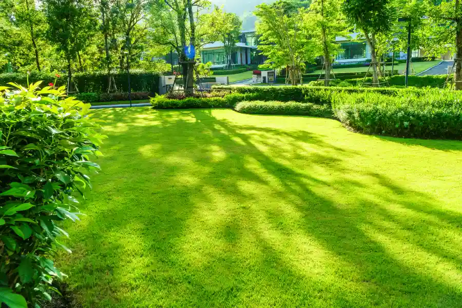 Landscape Maintenance
