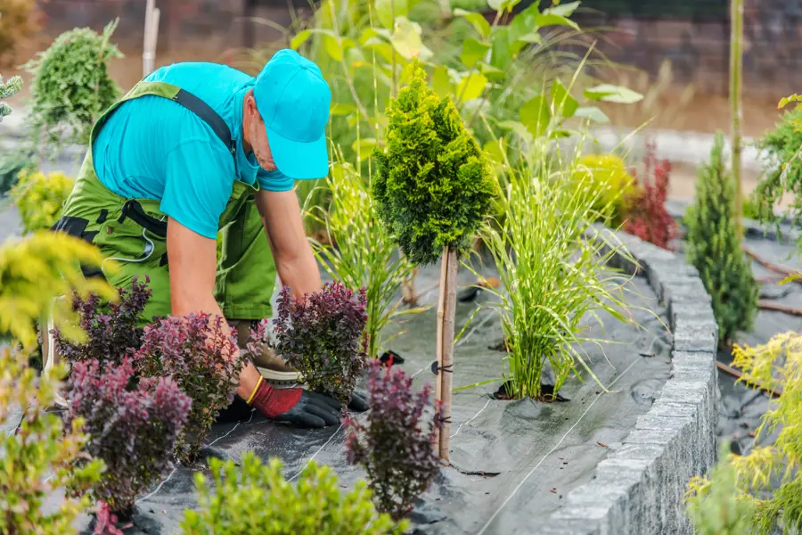 The Role of Landscaping Services in Erosion Control and Prevention Jacksonville, FL The Role of Landscaping Services in Erosion Control and Prevention Jacksonville, FL