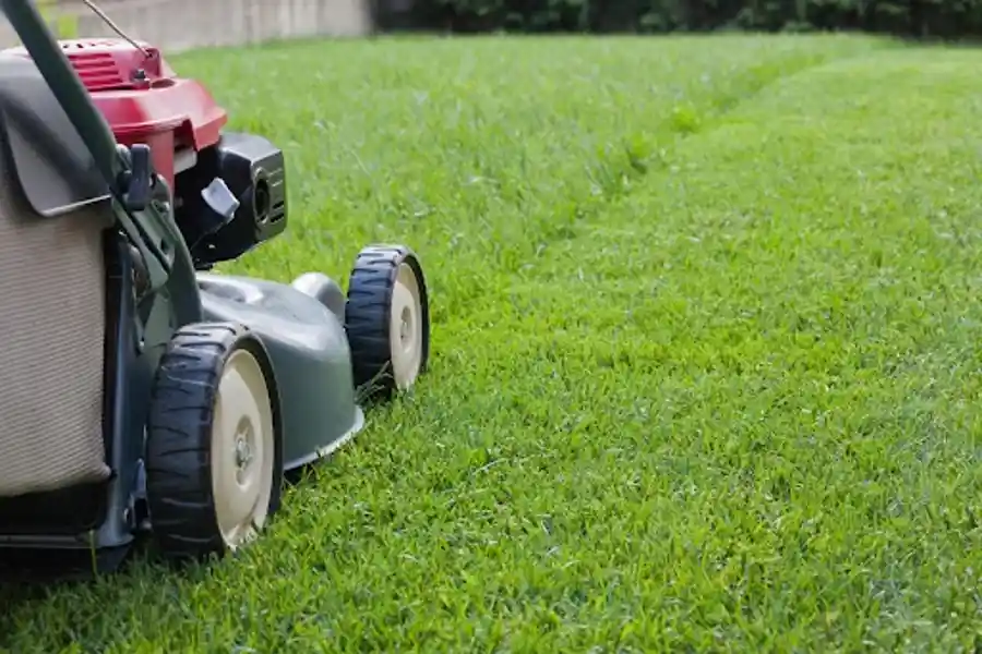 The Role of Landscaping Services in Erosion Control and Prevention in Jacksonville, FL The Role of Landscaping Services in Erosion Control and Prevention in Jacksonville, FL