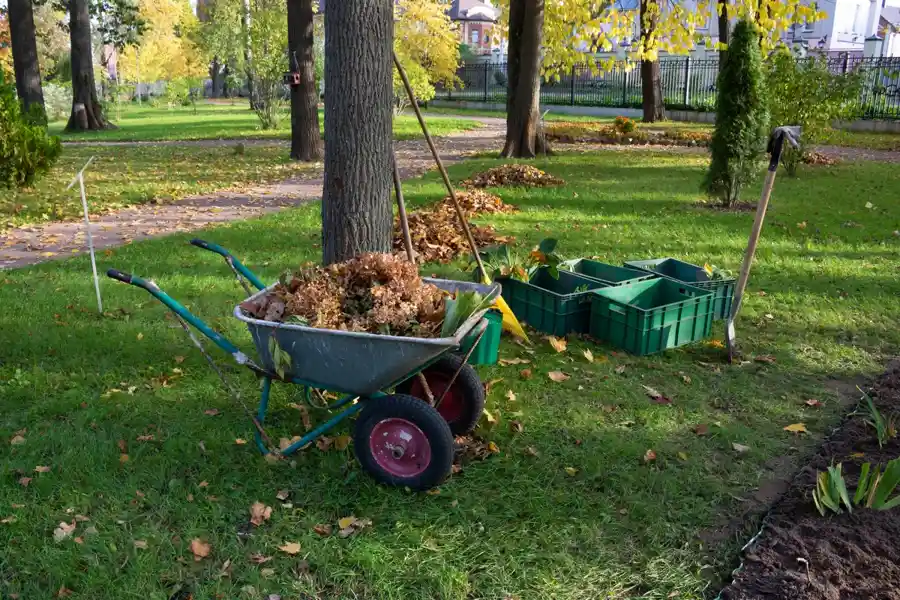 Tree Service Latino LLC's Other Services