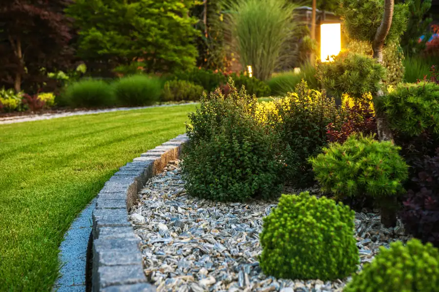 Why Landscaping Services Are Essential for Maintaining Healthy Lawns in Jacksonville, FL Why Landscaping Services Are Essential for Maintaining Healthy Lawns in Jacksonville, FL