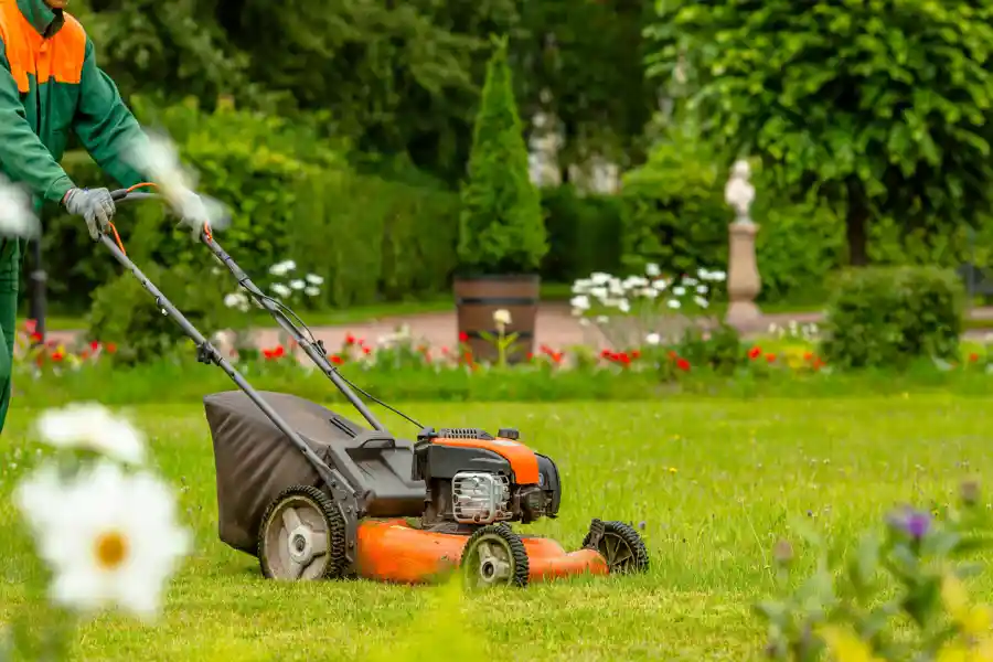 Dependable Landscaping Services in Jacksonville, FL Dependable Landscaping Services in Jacksonville, FL