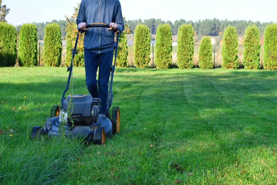 Expert Landscape Maintenance in Jacksonville, FL